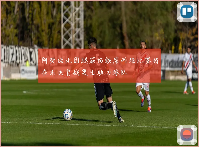 阿努诺比因腿筋伤缺席两场比赛将在东决首战复出助力球队